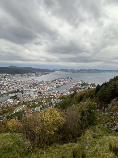 フロイエン山頂上からのベルゲンの街並み