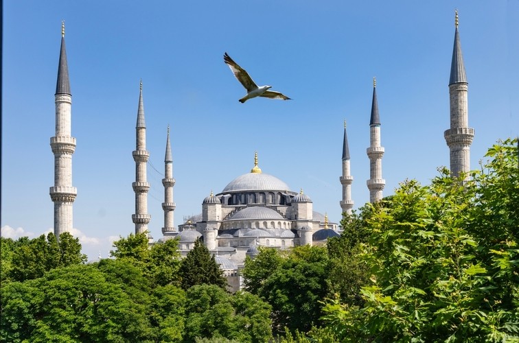 トルコ旅行5日間の費用目安|航空券・宿泊・食費の相場