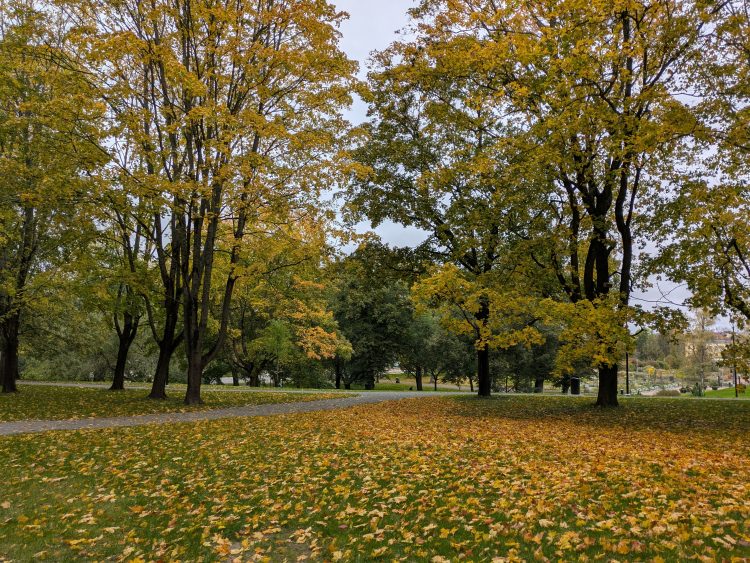 ヘルシンキのホテル近くの公園