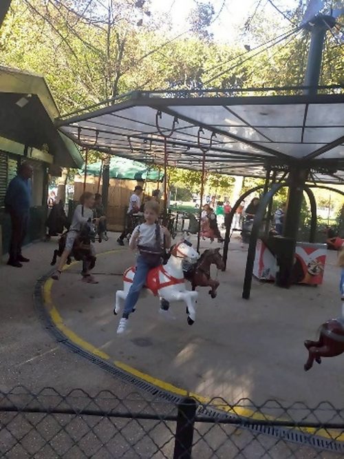 テレビで紹介されていた手動式メリーゴーランド