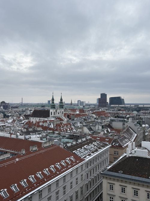 シュテファン大聖堂北塔からの眺め