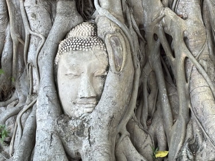 ワット・マハータート寺院（アユタヤ）の仏頭