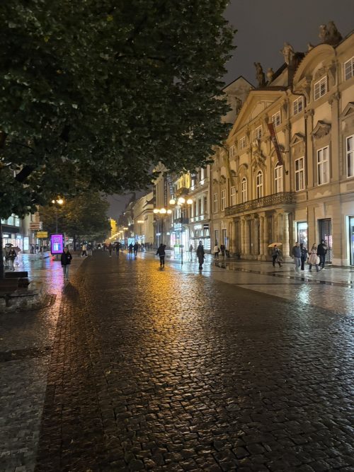 趣ある夜のプラハの街並み