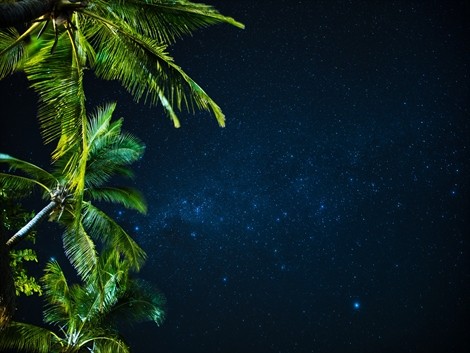 ヤサワ アイランドリゾート