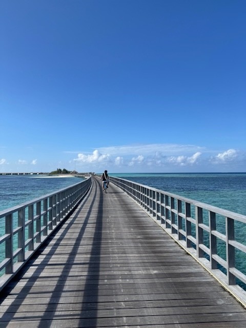 島と島を繋ぐ橋