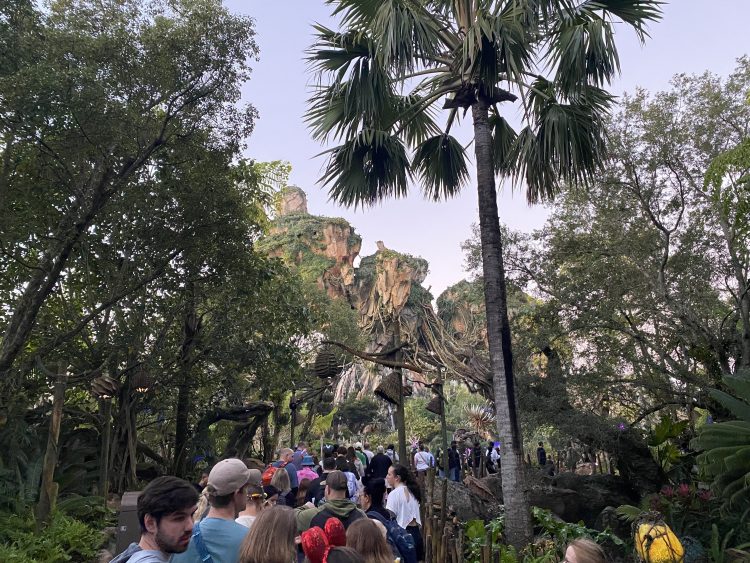 02　アニマルキングダム：映画アバターの世界観に圧倒