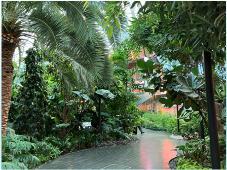Doha Airport's Indoor Tropical Garden