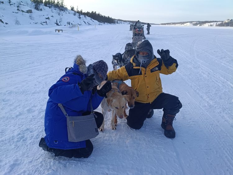 犬ぞりは湖の上を1周します