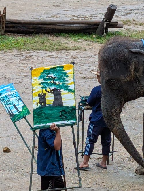 圧巻の絵画パフォーマンスでした!