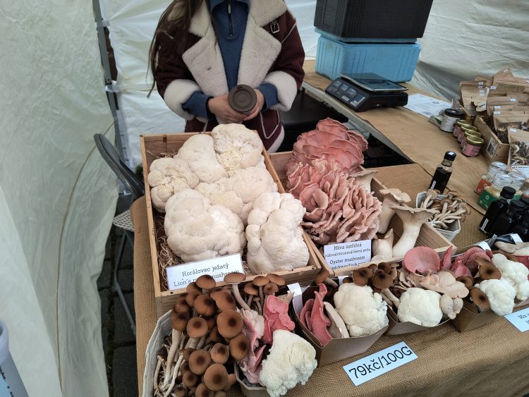 見ているだけで楽しいです