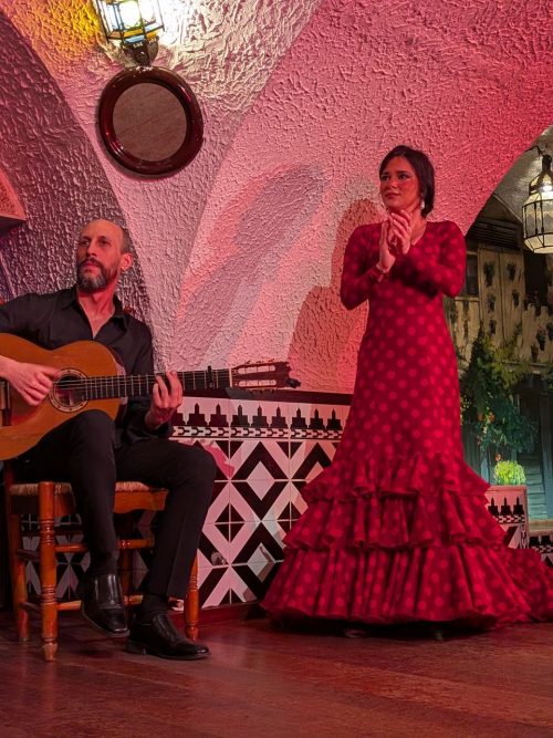 フラメンコ鑑賞を楽しみました