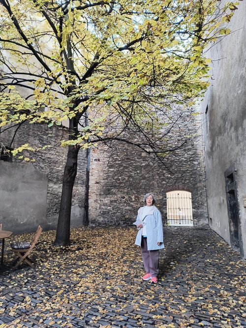 景色がとてもきれいでした