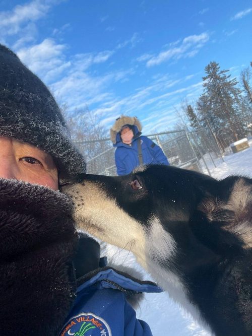 犬ぞりツアーにて