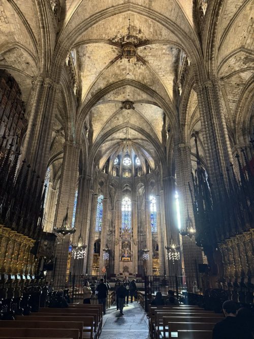 バルセロナ大聖堂を見学