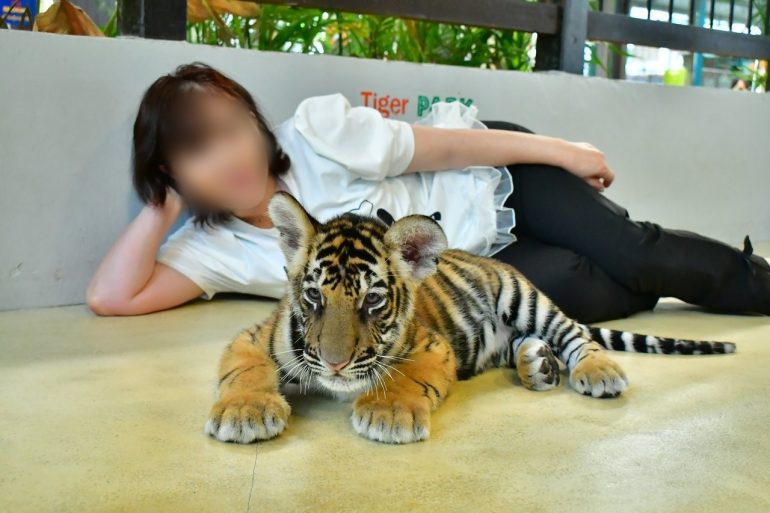 タイガーパーク・パタヤ