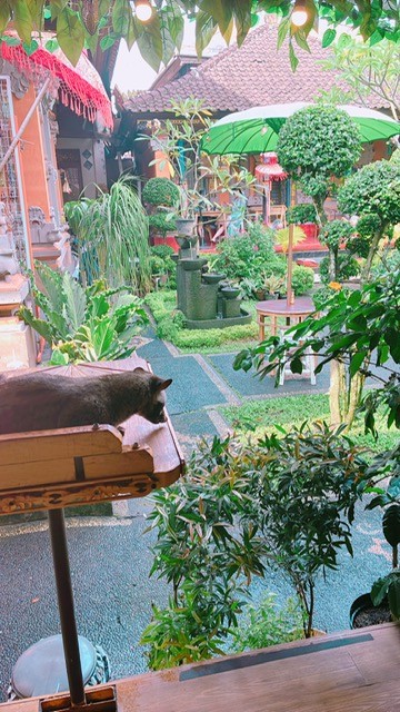 バリ式庭園のカフェ