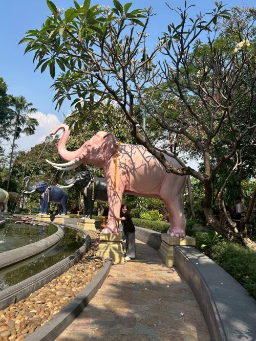 ピンクのゾウ