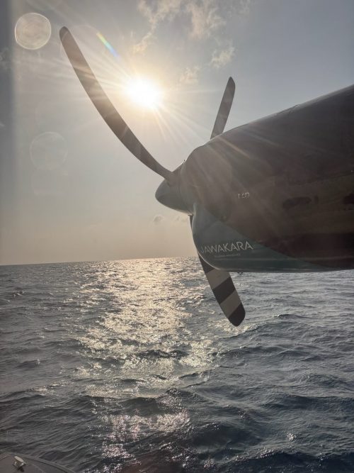 水上飛行機
