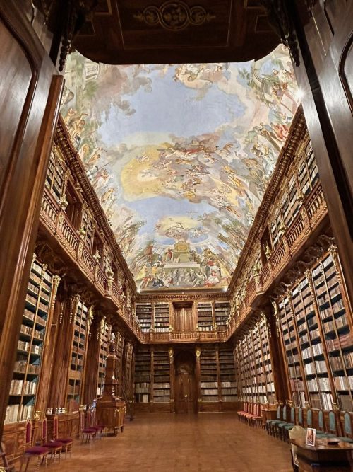歴史ある図書館は、 言葉を失うほど美しかったです