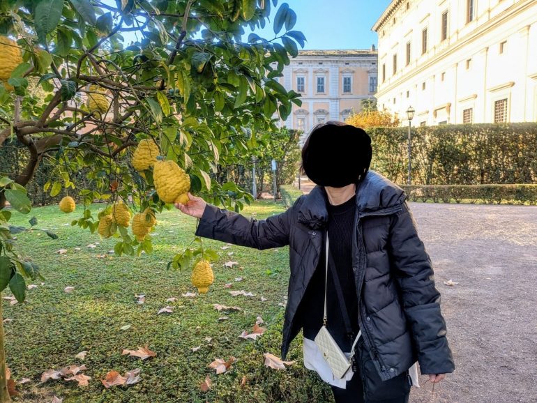 子供の顔くらいの大きいレモン