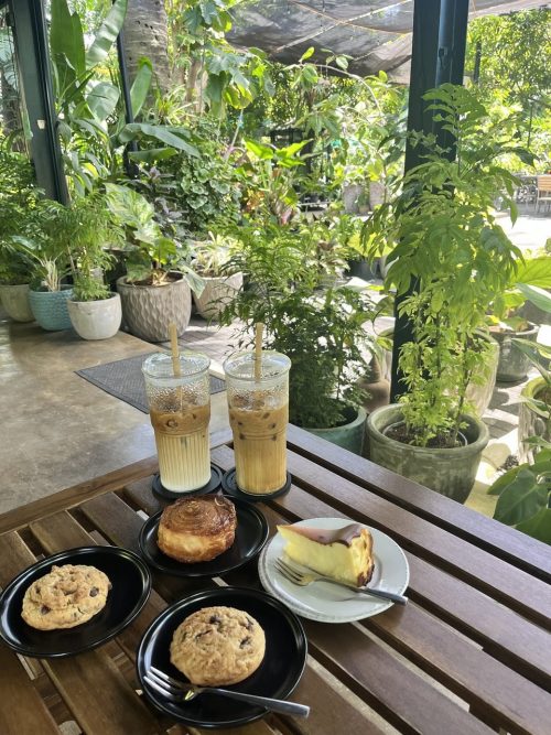 「nimo cafe」隠れ家カフェのような場所で、植物園のような素敵なカフェでした