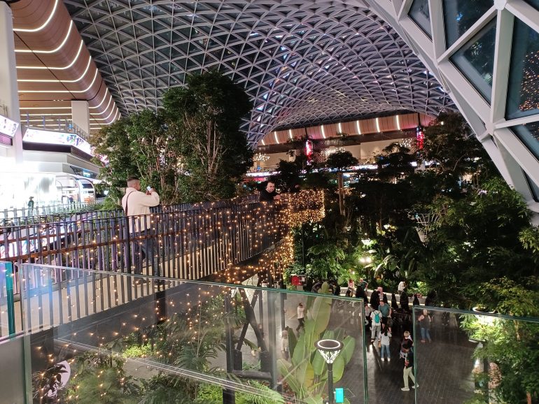 ドーハ空港の植物園