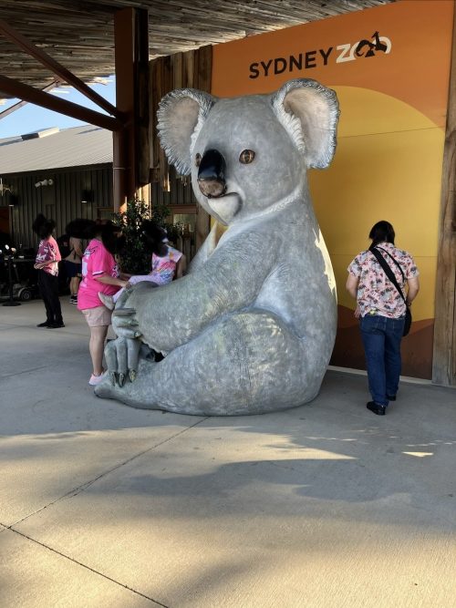 6日目AUS動物園入口