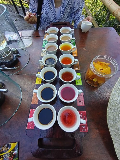 コーヒー農園 Segara Windhu Coffee Plantationで試飲
