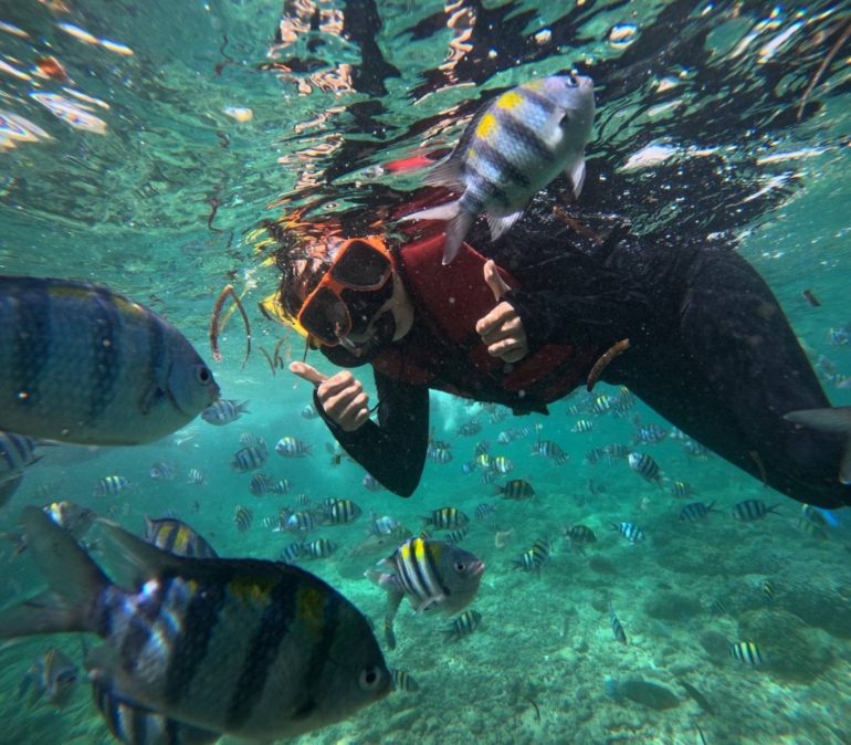 まるで水族館の中にいるよう!