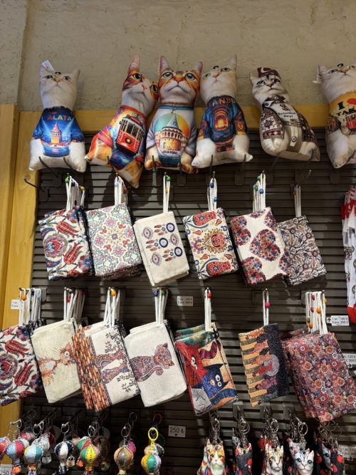 イスタンブール到着後、ショッピング。トルコならではの柄が多く、たくさんポーチを買いました！