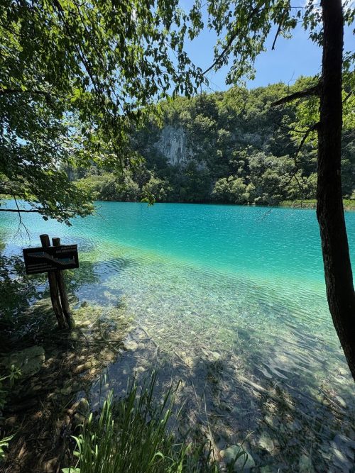 プリトヴィツェ下湖 木漏れ日と湖面が息をのむ美しさでした