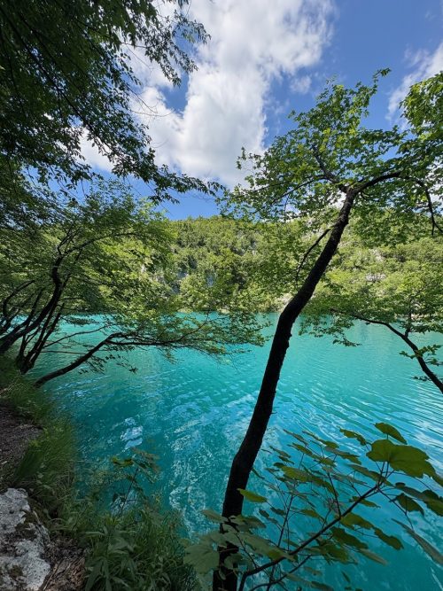 プリトヴィツェ下湖 空・雲・木々・湖面、ただただ美しいです
