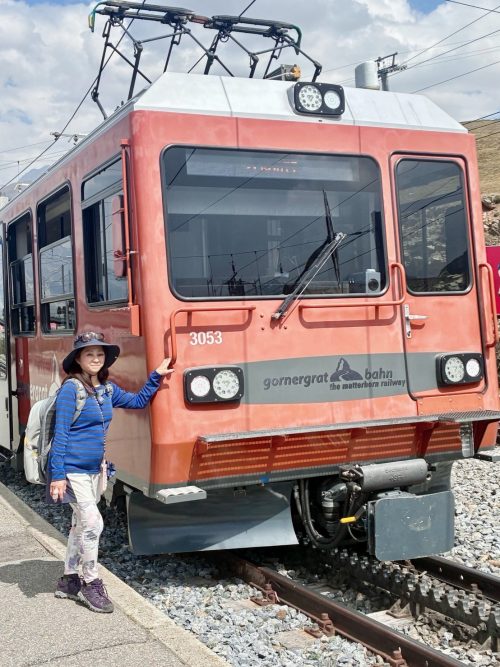 登山鉄道はギザギザの歯のようなレールです