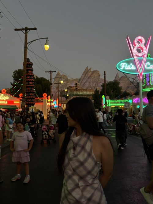 夜までディズニーランド・リゾートを大満喫