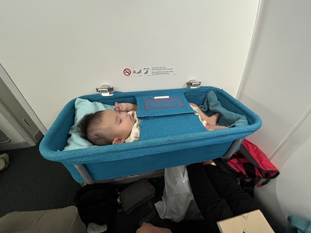 0歳の子どもは畿内のバシネットで過ごしました