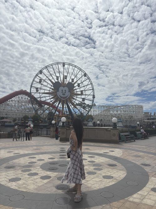 カリフォルニア ディズニーランド・リゾート