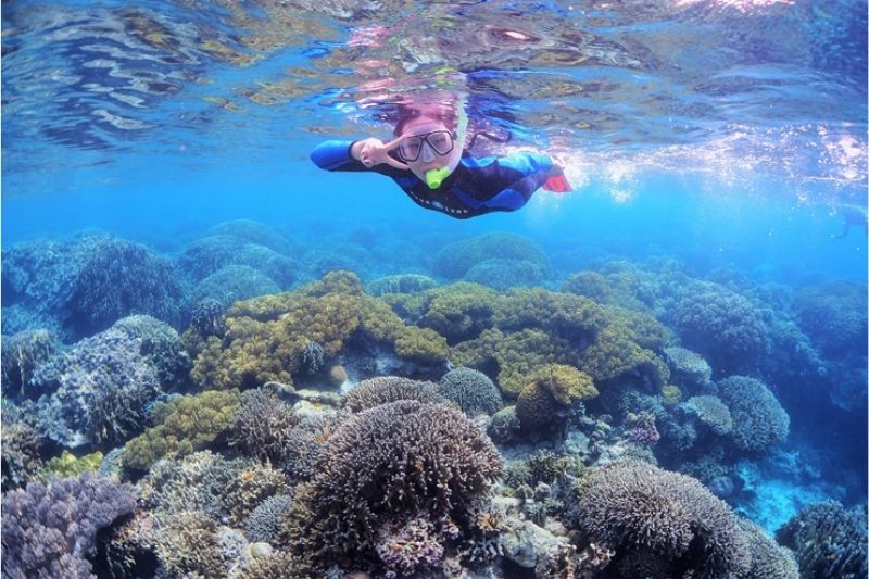 snorkeling cebu hotel philippines
