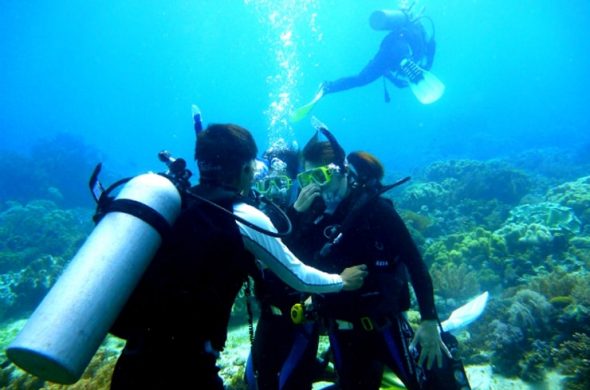 diving at cebu4