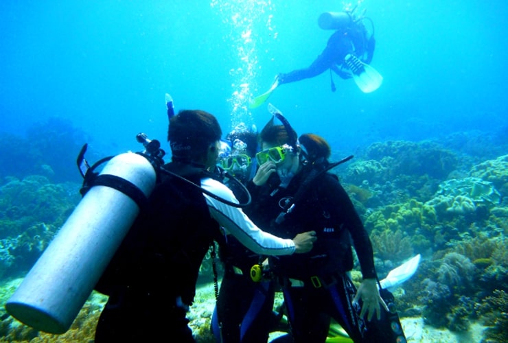 diving at cebu4