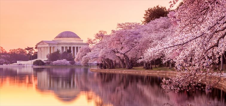 入り江の水際を散歩するのがおススメのお花見ルート