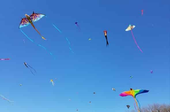 桜・凧揚げまつり（Blossom Kite Fastival）