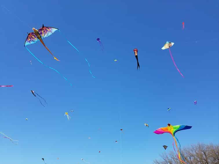 桜・凧揚げまつり（Blossom Kite Fastival）