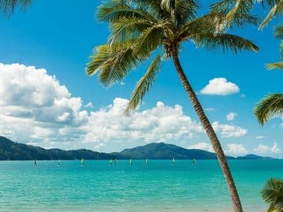 ハミルトン島・キャッツアイビーチ（3×4）