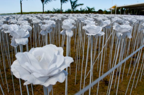 10,000 roses cafe cebu philippines