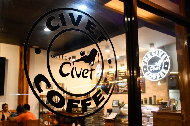 civet coffee cebu philippines