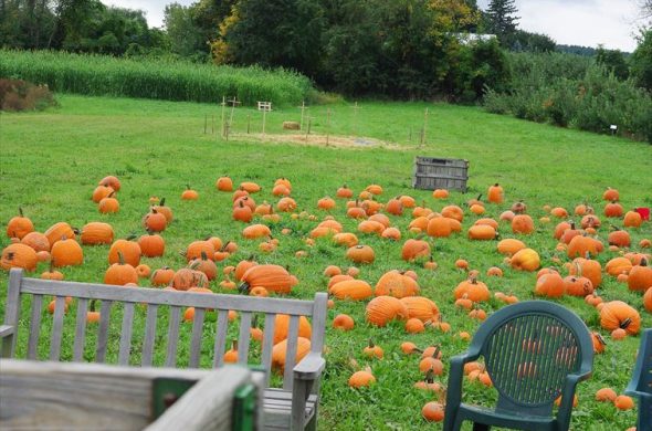 ご家族連れにおすすめのハロウィンイベントもあります