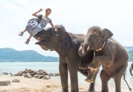 海で象遊び「エレファントスイミング」で象の鼻で持ち上げられている女性