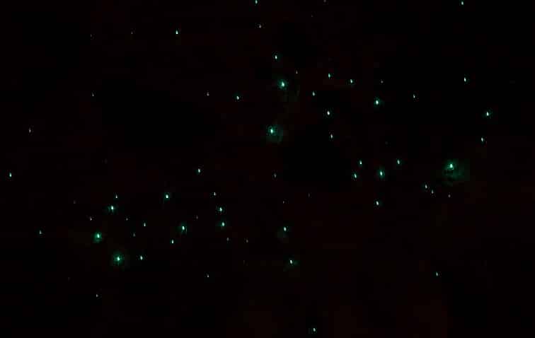 ゴールドコースト・スプリングブルック