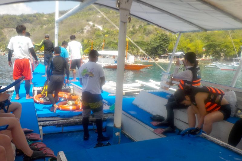 whalwshark watching in cebu philippines