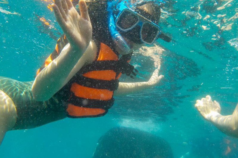whalwshark watching in cebu philippines